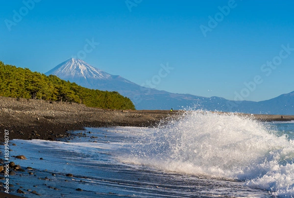 Obraz 朝の三保海岸から三保の松原と富士山