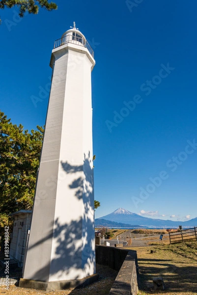 Obraz 朝の三保海岸から三保の松原と富士山