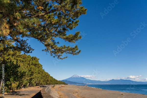 Obraz 朝の三保海岸から三保の松原と富士山