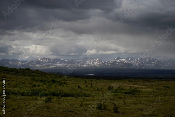 Fototapeta Mountains on the Denali Highway