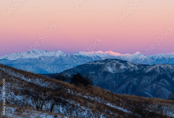 Obraz 霧ケ峰高原車山湿原遊歩道から北アルプスビーナスベルトとモルゲンロート