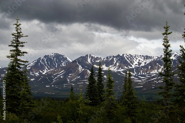 Fototapeta Mountains on the Denali Highway