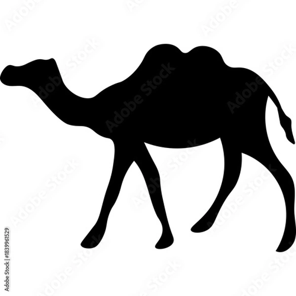 Obraz Camel Silhouette Islamic Illustration