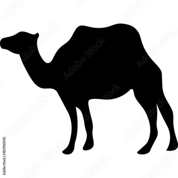 Obraz Camel Silhouette Islamic Illustration
