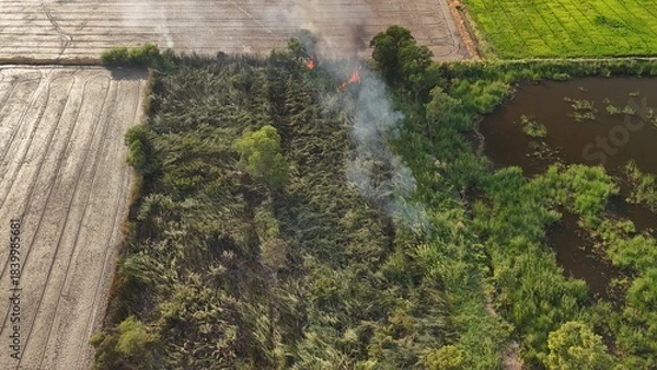 Fototapeta Climate change, Agriculture burning release carbon