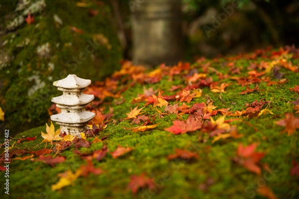 Obraz 上高野の紅葉寺