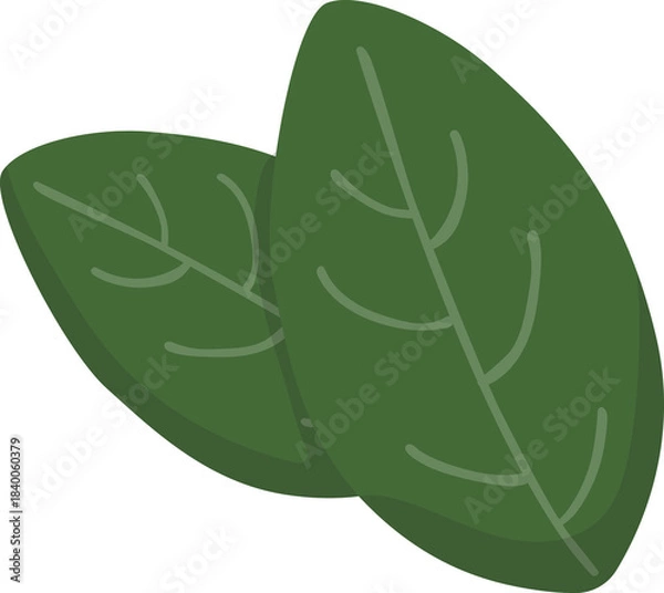 Obraz Two Green Spinach Leaves