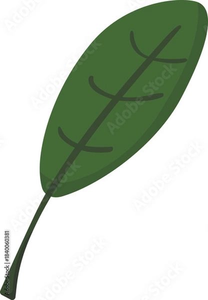 Obraz Simple Green Leaf