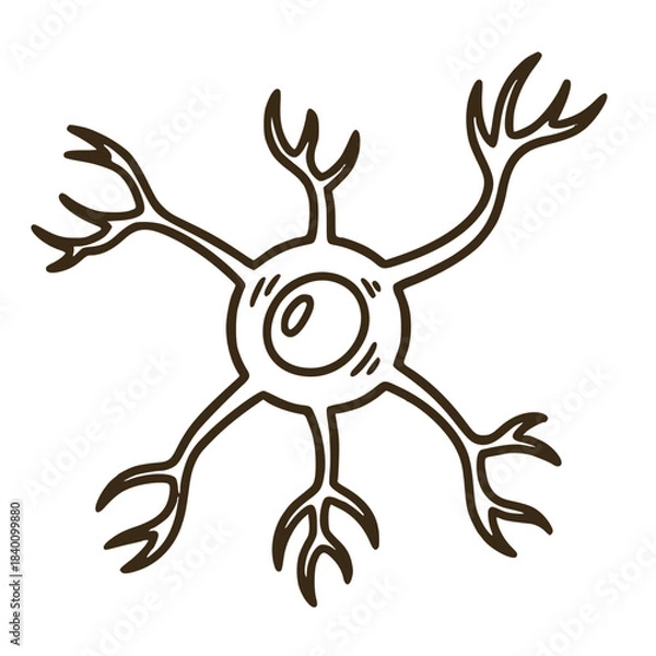 Obraz Detailed neuron cell structure illustration for science