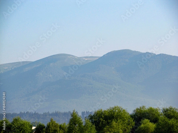 Obraz View to mountain, forest and blue sky