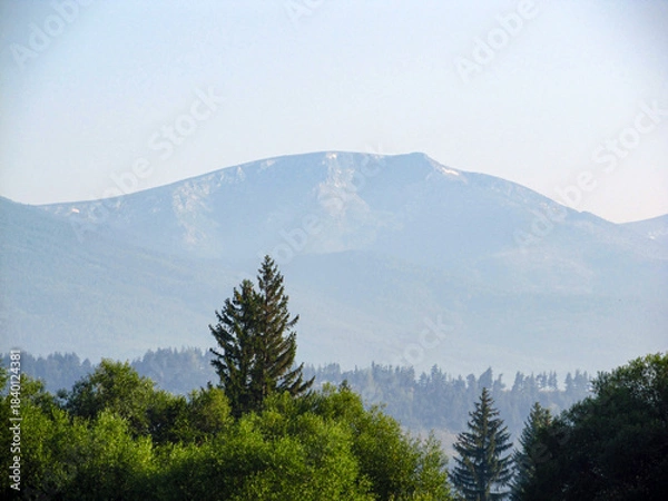 Obraz View to mountain, forest and blue sky