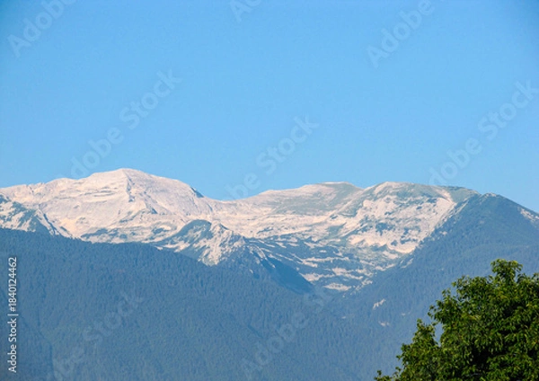 Obraz View to mountain, forest and blue sky