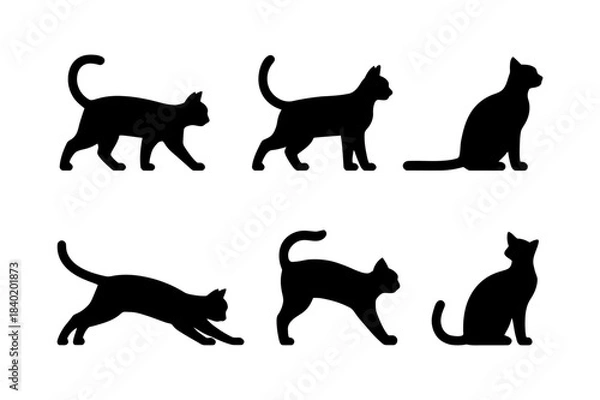 Obraz black cat silhouettes