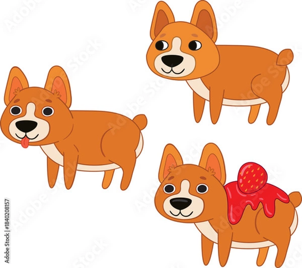 Fototapeta Corgi in various poses.