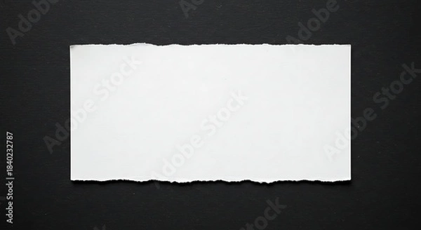 Fototapeta Torn Paper Rectangle on Black Background.