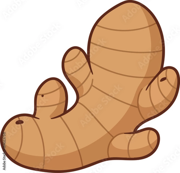 Obraz Light brown ginger root, simplified cute curved shape, cartoon vegetable vector