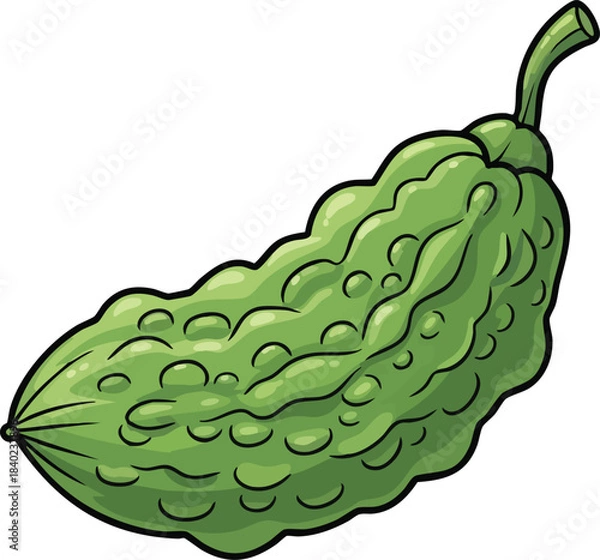 Obraz Green bumpy bitter gourd, simplified cute texture, kids vegetable vector