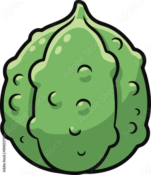 Obraz Green bumpy bitter gourd, simplified cute texture, kids vegetable vector