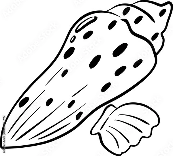 Fototapeta sketch Hand Drawn Seashells