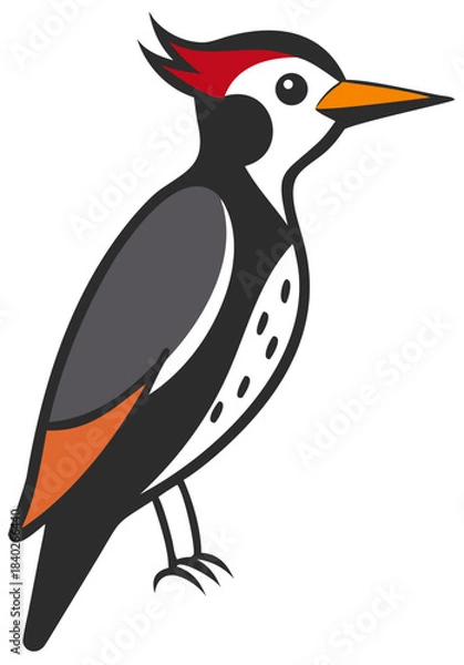 Obraz Woodpecker