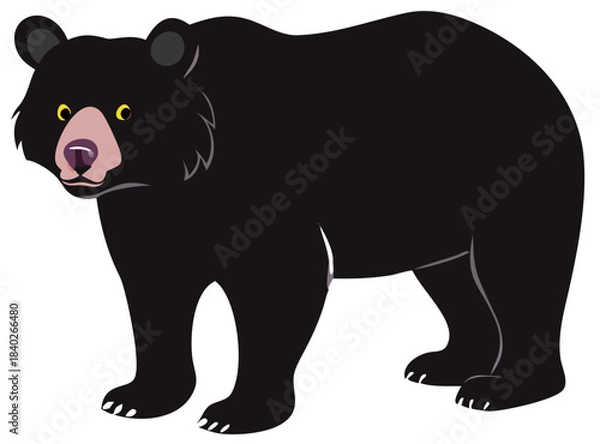 Obraz bear vector illustration
