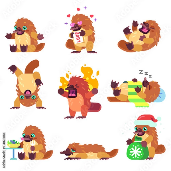Obraz Platypus Character Vector Set