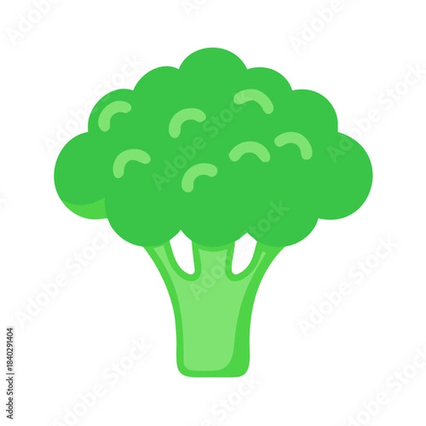 Fototapeta Bright green broccoli graphic in flat design style
