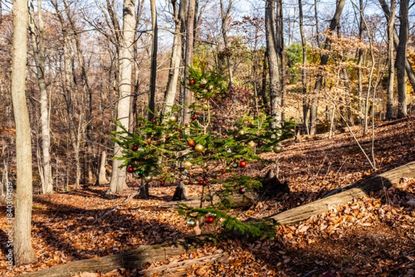 Obraz Christmas tree in the forest