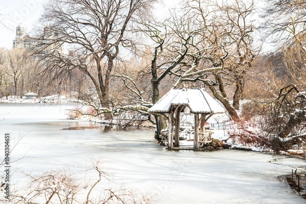 Obraz winter in the park