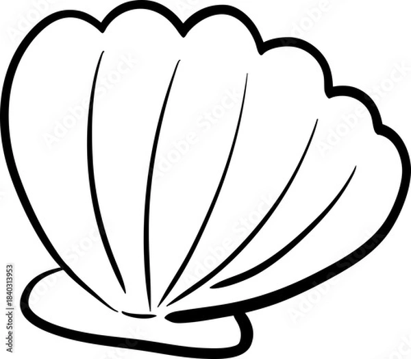 Obraz sketch Hand Drawn Seashells