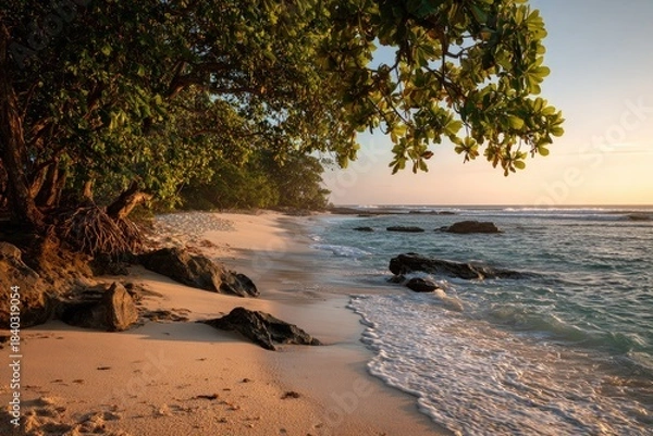 Fototapeta A sunlit sandy beach with gentle waves lapping the shore, framed by lush trees and rocks