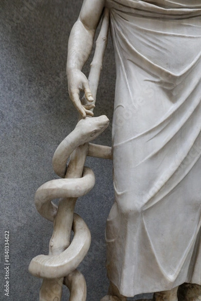 Fototapeta Details from a statue of Aesculap