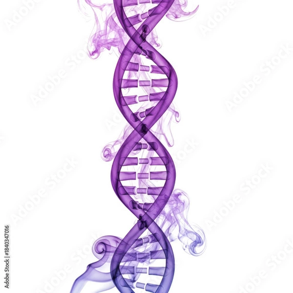 Obraz Purple D N A helix formed from smoke on black background