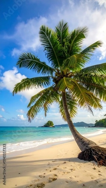 Obraz Tropical beach with a palm tree