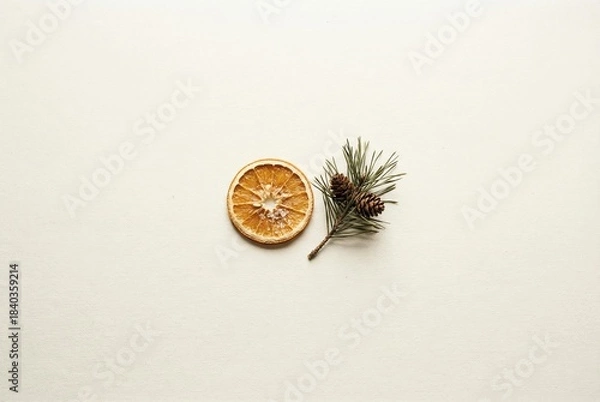 Obraz Dried orange slice and pine twig composition on cream background