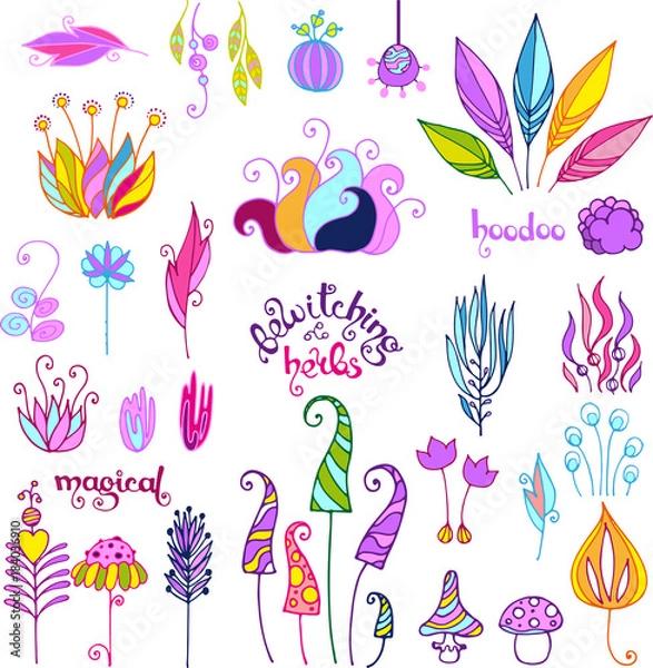 Obraz doodle magical plants and herbs