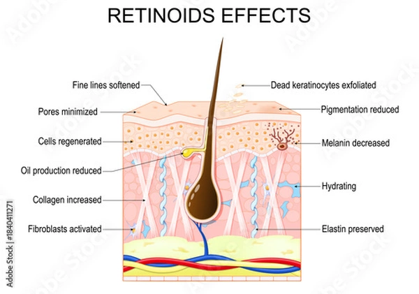 Fototapeta Retinoids effects for skin.