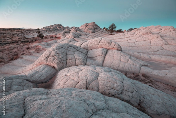 Fototapeta White pocket