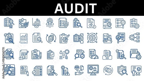 Fototapeta Audit line icon set. Vector illustration 
