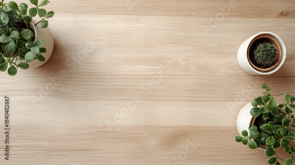 Obraz Potted Plants on Rustic Wood Background