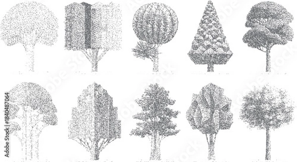 Obraz Ten different styles of trees rendered in a stippled grey ink drawing on a white background nature plant