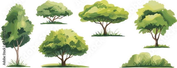 Fototapeta Stylized trees and shrubs with varied shapes, foliage patterns, and greenery shades, landscape design vector illustration set