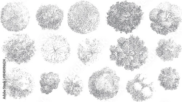 Obraz Fifteen top down view illustrations of various trees rendered in grey stippling on a white background