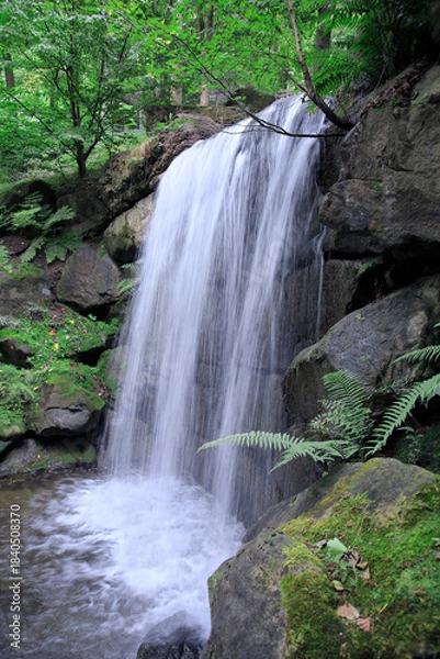 Obraz Wasserfall in grüner Landschaft, Europa