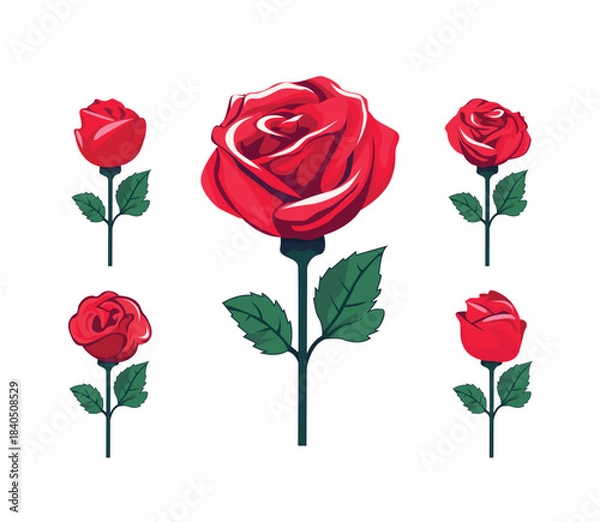 Fototapeta set of red roses vector illustration