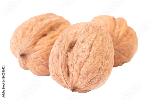 Obraz Walnut isolated on white background