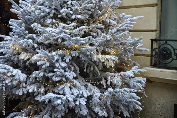 Obraz Sapin de Noël enneigé