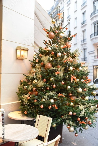 Obraz Sapin dans la rue à Noël