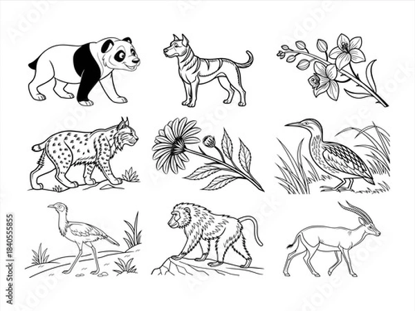 Obraz coloring page line art the animal and bird black vector bundle
