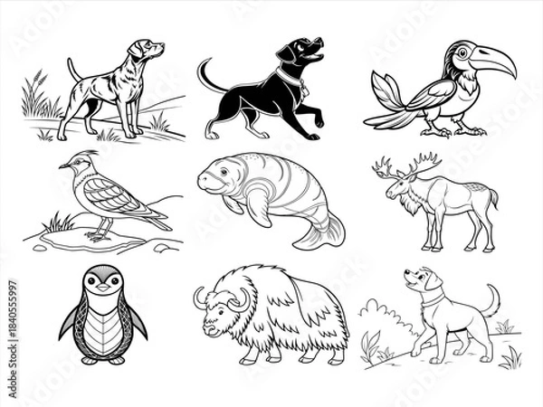 Obraz coloring page line art the animal and bird black vector bundle